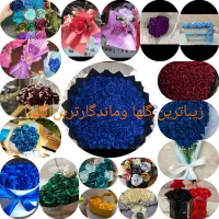 گلهای ربانی وزیبا