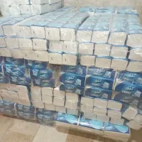 دستمال تنو ۵۰۰ برگ|آرایشی، بهداشتی، درمانی|قم, ولیعصر|دیوار