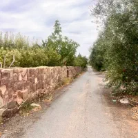 ۳۰۰متر زمین اقساط۷ماهه متری ۳۵۰۰+سند جابان دماوند