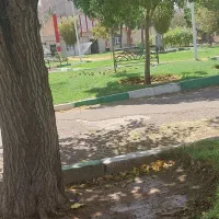 سمپاشی وحرص درخت باغچه وحیاط همشهریان عزیز