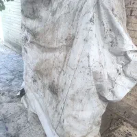 دستگاه برشته کن
