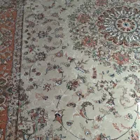 فرش ماشینی کاشان|فرش|مشهد, شاهد (شهرک غرب)|دیوار