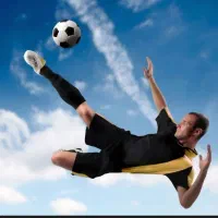 پارتنر ورزشی