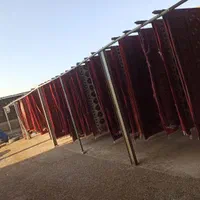 قالی شویی ماهر|خدمات نظافت|سوسنگرد, |دیوار