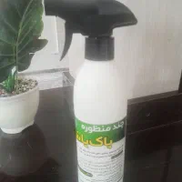 شوینده