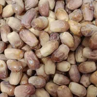 قصب درجه یک