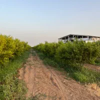 نیاز به کارکر ماهر باغبانی