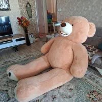 خرس اورجینال