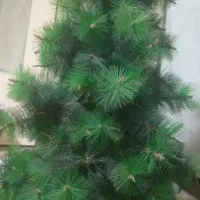 درخچه دو تیکه میشه و پایه هم داره
