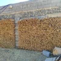 زوار زیوار زئوار تخته