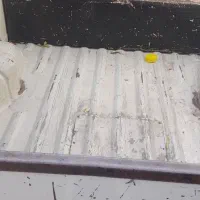 پیکان وانت 90دوگانه شرکتی|خودرو سواری و وانت|خسروشاه, |دیوار