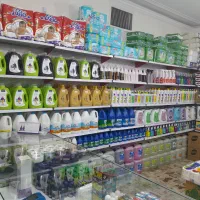 پخش عمده شوینده
