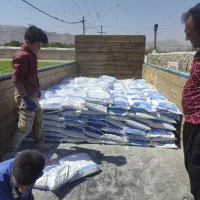 چسب کاشی الیاف دار طوسی ضمانت تا ابد|عمده‌فروشی|اصفهان, کشاورزی|دیوار