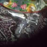 شیراهرمی