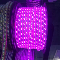 ریسه نور مخفی در رنگ های مختلف