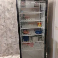 فریز ایستاده