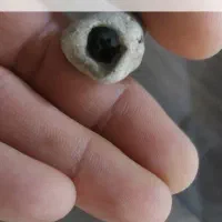 سنگ شانس واقبال|کلکسیون اشیاء عتیقه|ارومیه, |دیوار