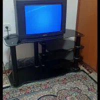 اجتماعی تلوزیون