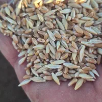 خار، کاه، پرس|لوازم جانبی حیوانات|مشهد, شهرک شهید باهنر|دیوار