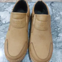 کفش نو|کیف، کفش، کمربند|ماکو, |دیوار
