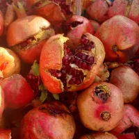 گوجه ربی وتربار