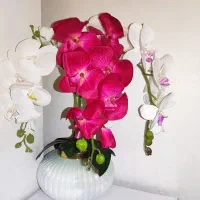 گل ارکیده خارجی