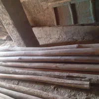 ۲۰ عدد تیر چوبی کاملا سالم۲۰ عدد با پوسیدگی جزیی
