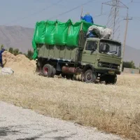 کاه نرم