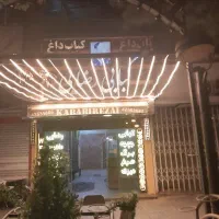 سالنکارخانم کمک آشپز خانوم و پیک موتوری