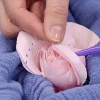 حلقه