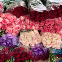 گل رز طبیعی|گل و گیاه طبیعی|یزد, |دیوار