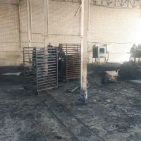 راننده نیسان