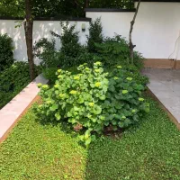 زمین فروشی در کلاردشت رودبارک پلم چال