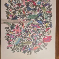 وکام اینتوس پرو مدیوم