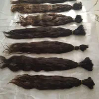 بزرگترین صادر کننده مو در استان
