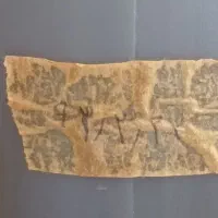 سیر ترشی تردوخوشمزه|خوردنی و آشامیدنی|رشت, نیروی دریایی|دیوار