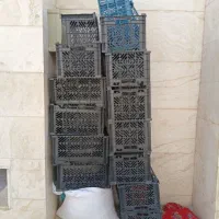 سبد
