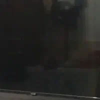 ال جی ۴۲ اینچ سالم تمیز