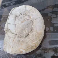 انواع سنگهای کلکسیونی