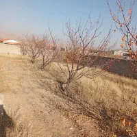 زین آباد ۳۲۰متر|فروش زمین و ملک کلنگی|صوفیان, |دیوار