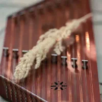 آموزش خصوصی سنتور