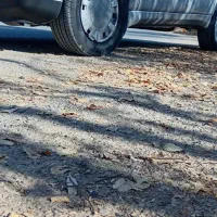 ۴۰۵مدل۹۸|خودرو سواری و وانت|شهرکرد, |دیوار