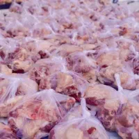 نرینه قلمابی زنده عقیقه قربانی درجه 1 گوسفند|حیوانات مزرعه|مشهد, خین عرب|دیوار