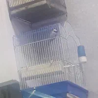 سهره خاص سبز .زرد .طوسی دهن دار