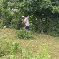 فروش زمین با قابلیت ساخت داخل بافت کاربری مسکونی|فروش زمین و ملک کلنگی|کیاسر, |دیوار