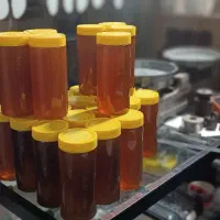 عسل گرده دار سیاه جنگلی مومدار و شهد|خوردنی و آشامیدنی|تهران, ارامنه|دیوار