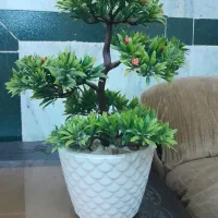 گلدان وساعت رومیزی