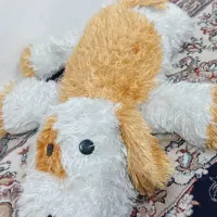 عروسک|اسباب‌‌بازی|بروجرد, |دیوار