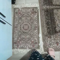 فرش های۷۰۰شانه|فرش|رشت, شهرک صبا|دیوار