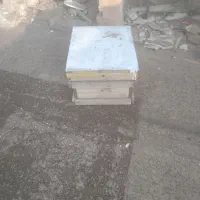کندوعسل بدون زنبور